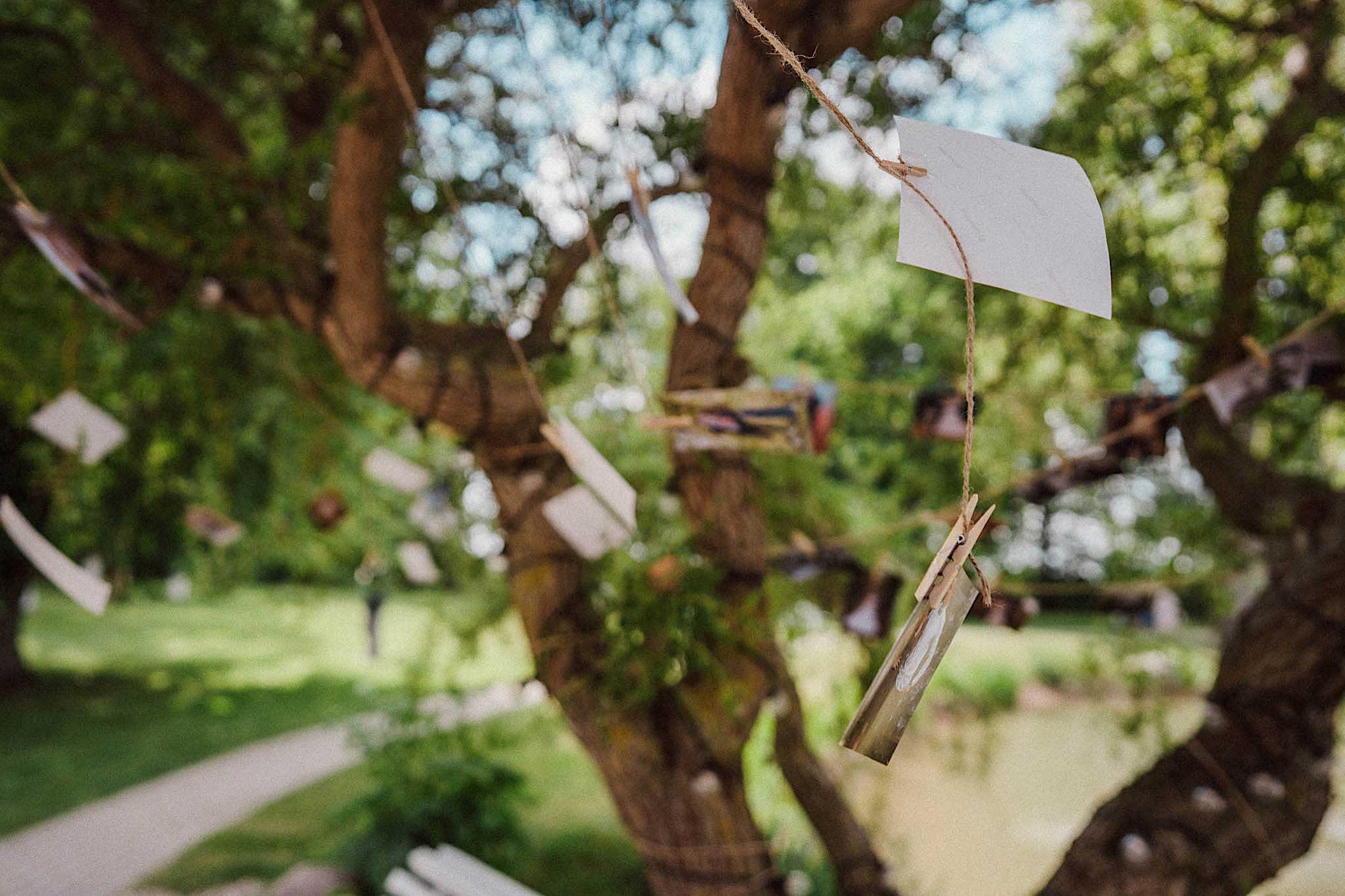 vestuves sodyboje gylyne