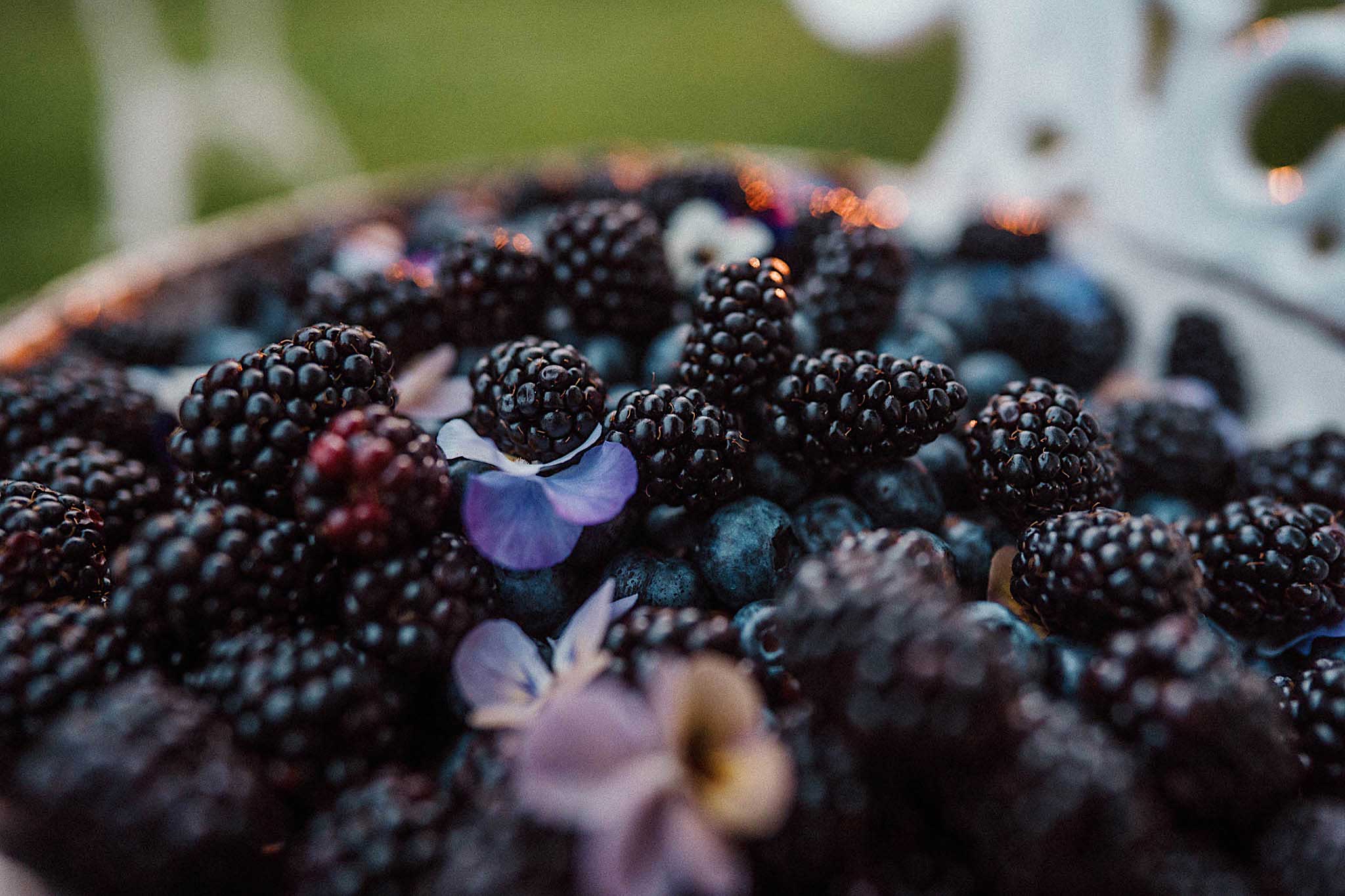 vestuves sodyboje gylyne